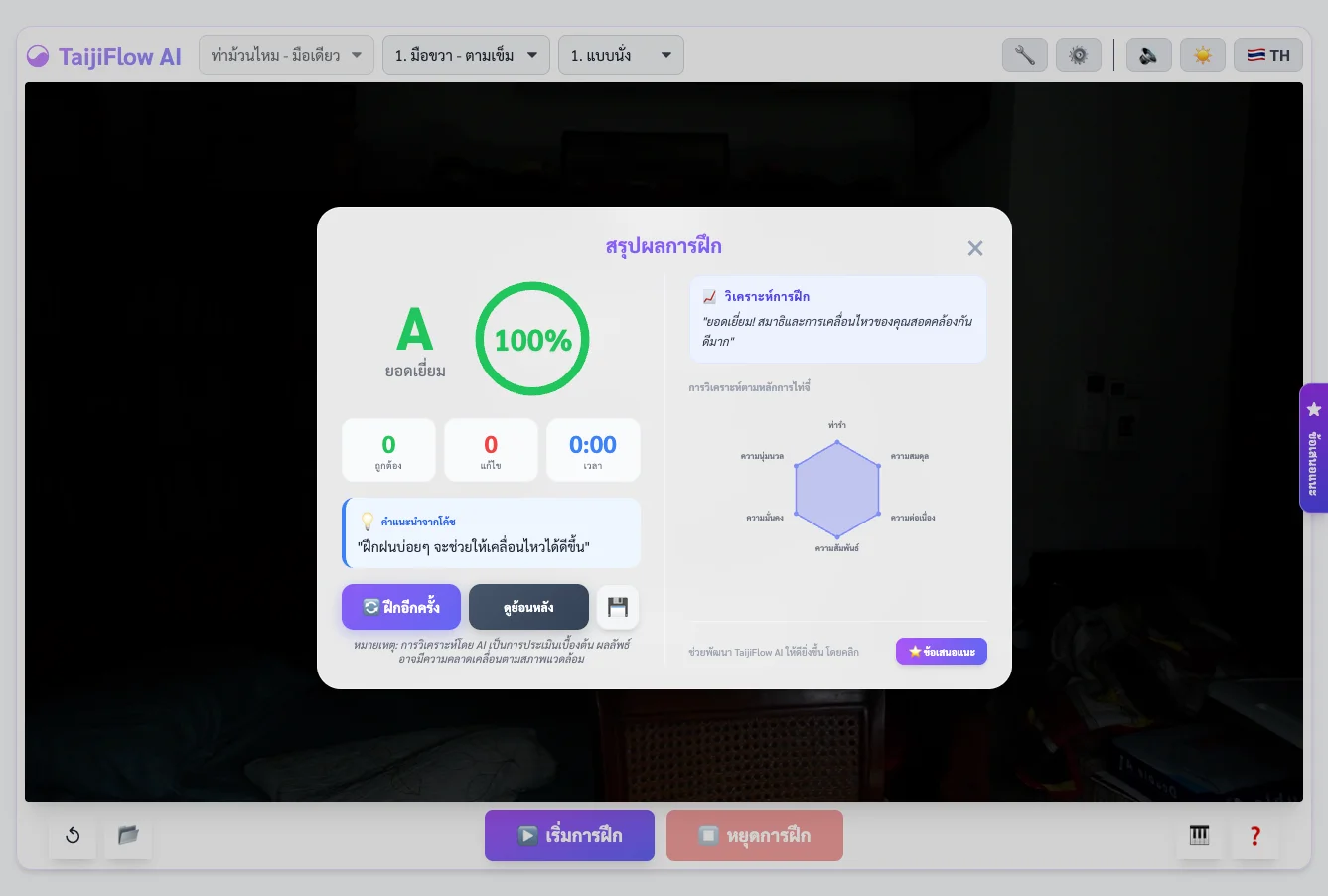 TaijiFlow AI Scoring Summary (Light)